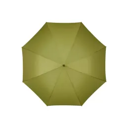 https://compmarket.hu/products/234/234744/samsonite-rain-pro-umbrella-pistachio-green_3.jpg