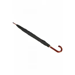 https://compmarket.hu/products/185/185924/samsonite-wood-classic-s-stick-umbrella-black_2.jpg